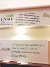 8-ая Международная  Конференция ICORD 2013